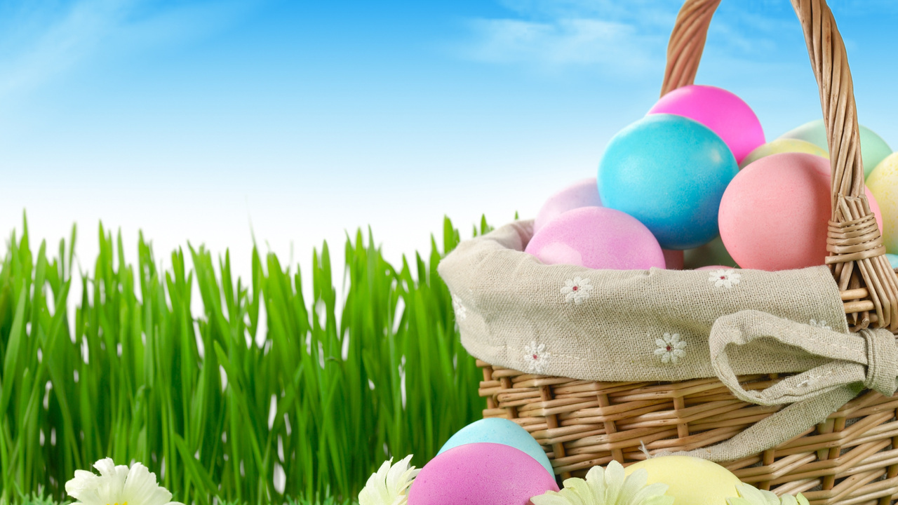 flowers, nature, grass, sky, easter, Holiday, eggs, , , , , , , 