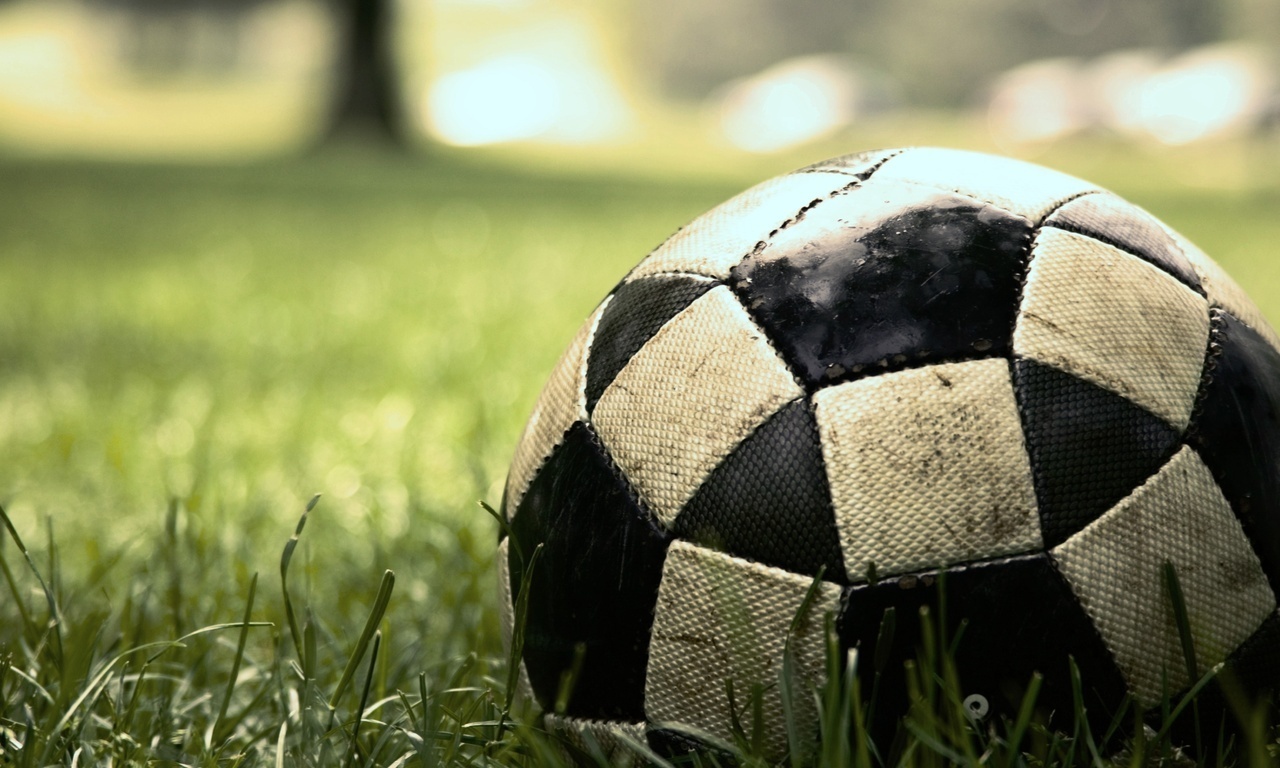 , sport, , , soccer, , game, , , , , ,  , , , 