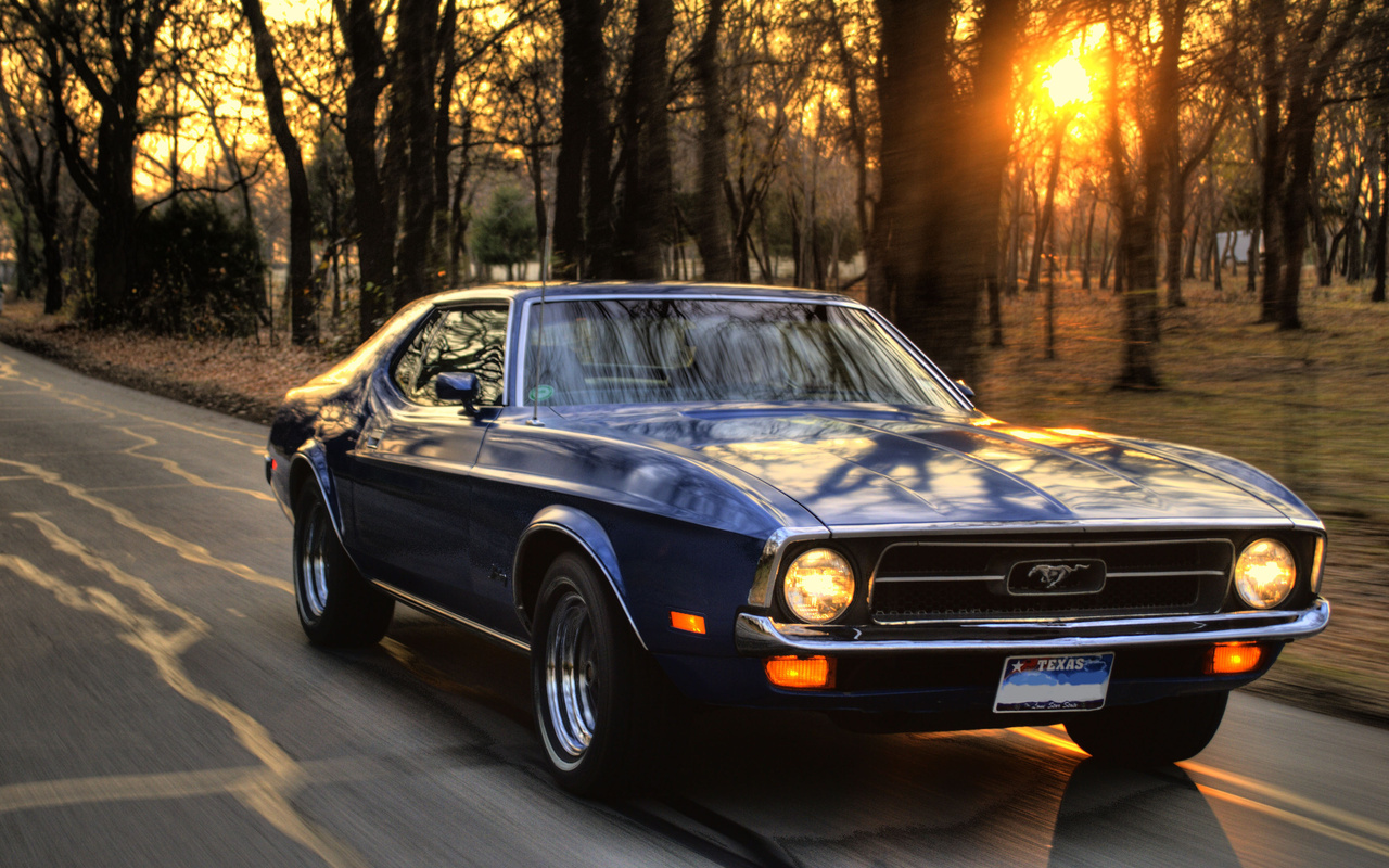 , ford mustang, , , , ,,  , ,, ,  , , , , , , , , , , 