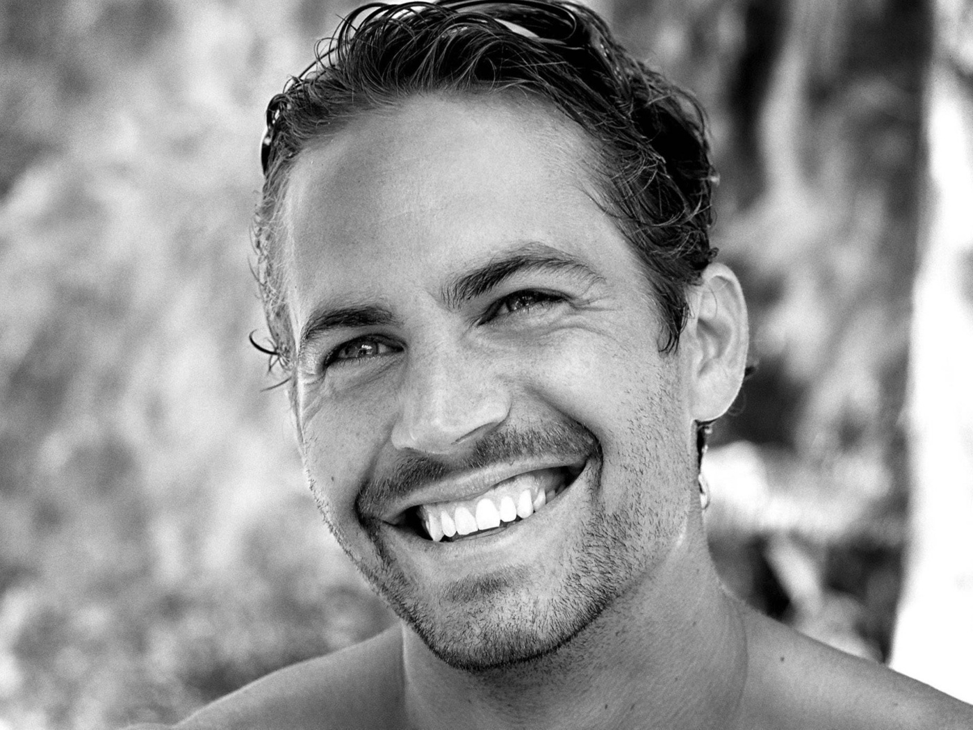 Paul walker,  , ,  - , , , , , , , -, , , , , 