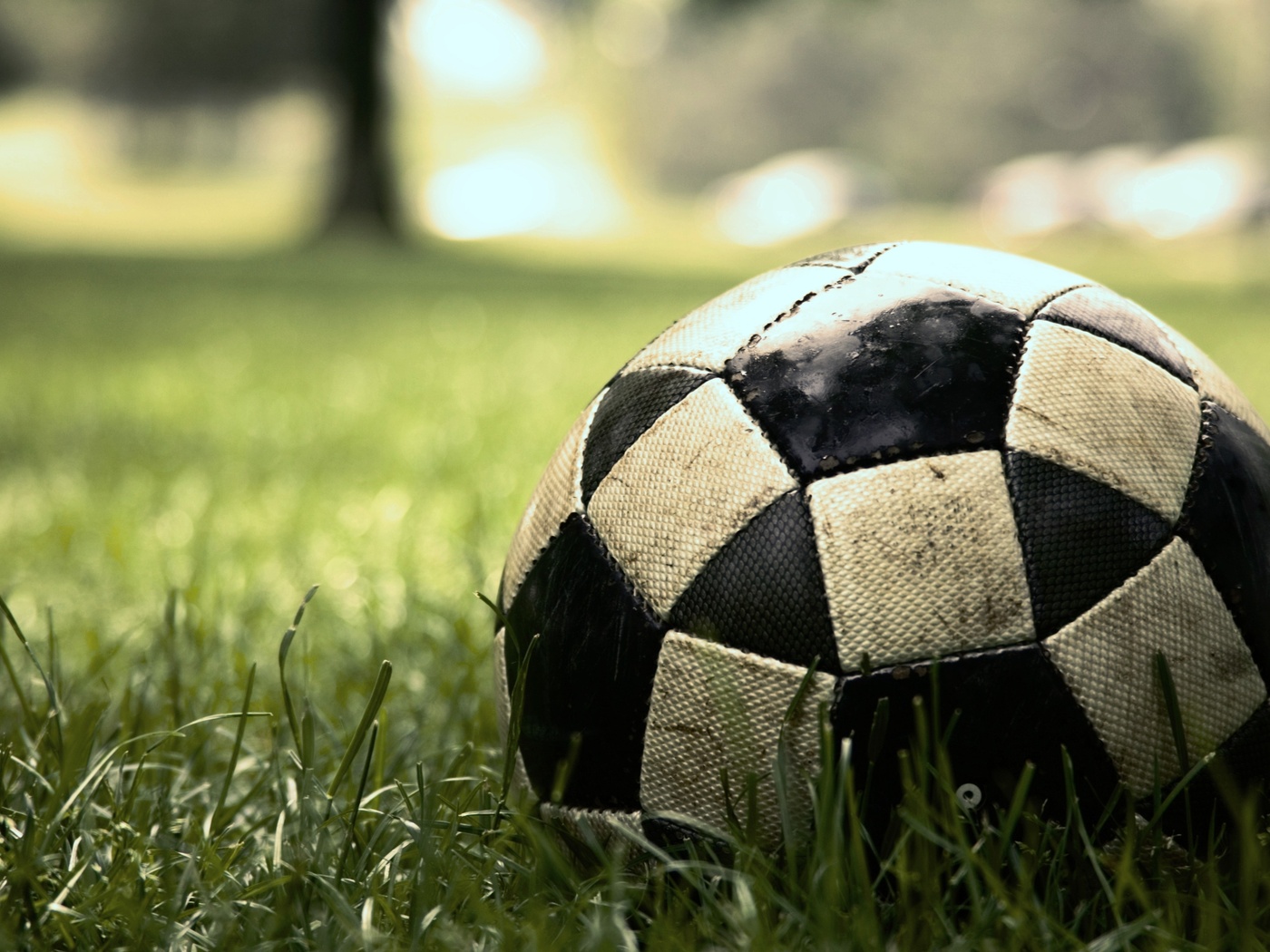 , sport, , , soccer, , game, , , , , ,  , , , 