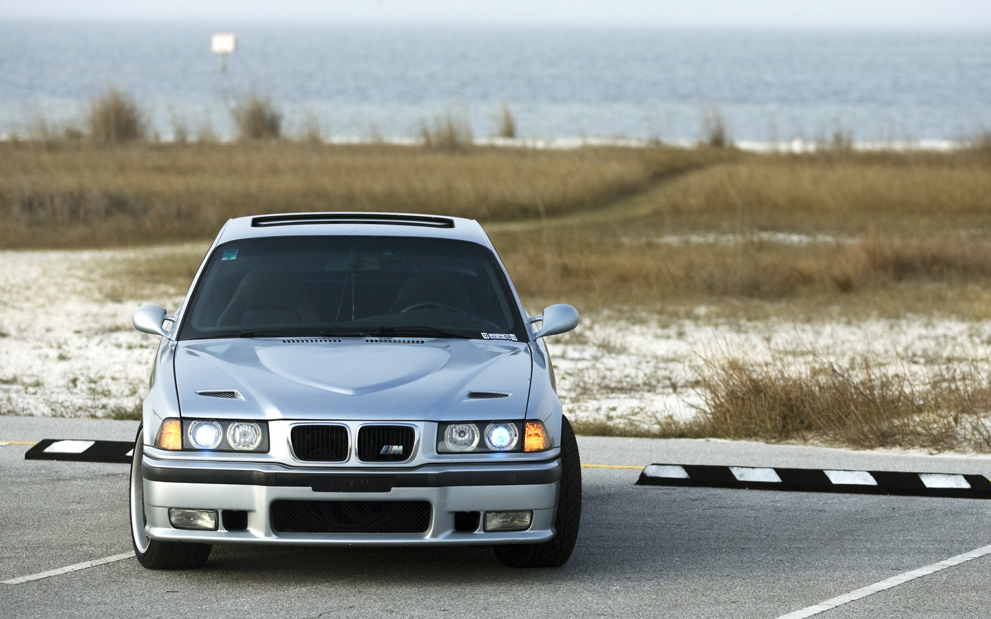 bmw, e36, m3, 3 series, , , , , , , , , , ,  , , ,  , , , , 