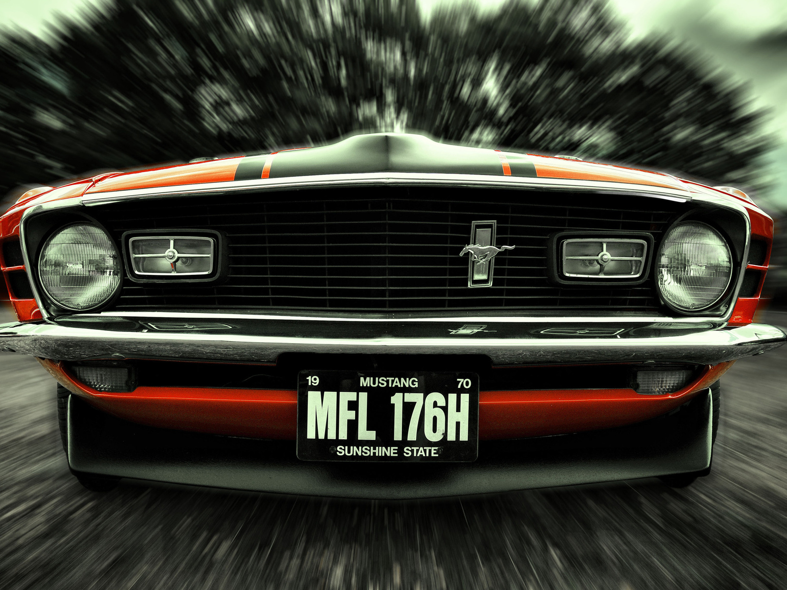 ford, 1970, mustang, front, , , , ,, , ,  , , , , ,  , , 