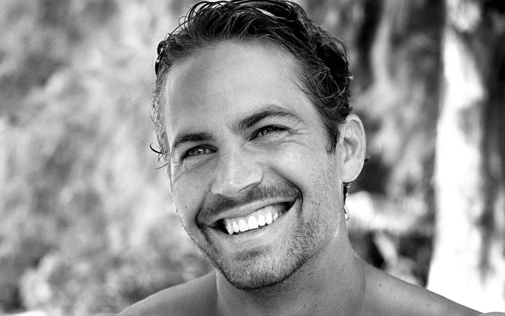 Paul walker,  , ,  - , , , , , , , -, , , , , 