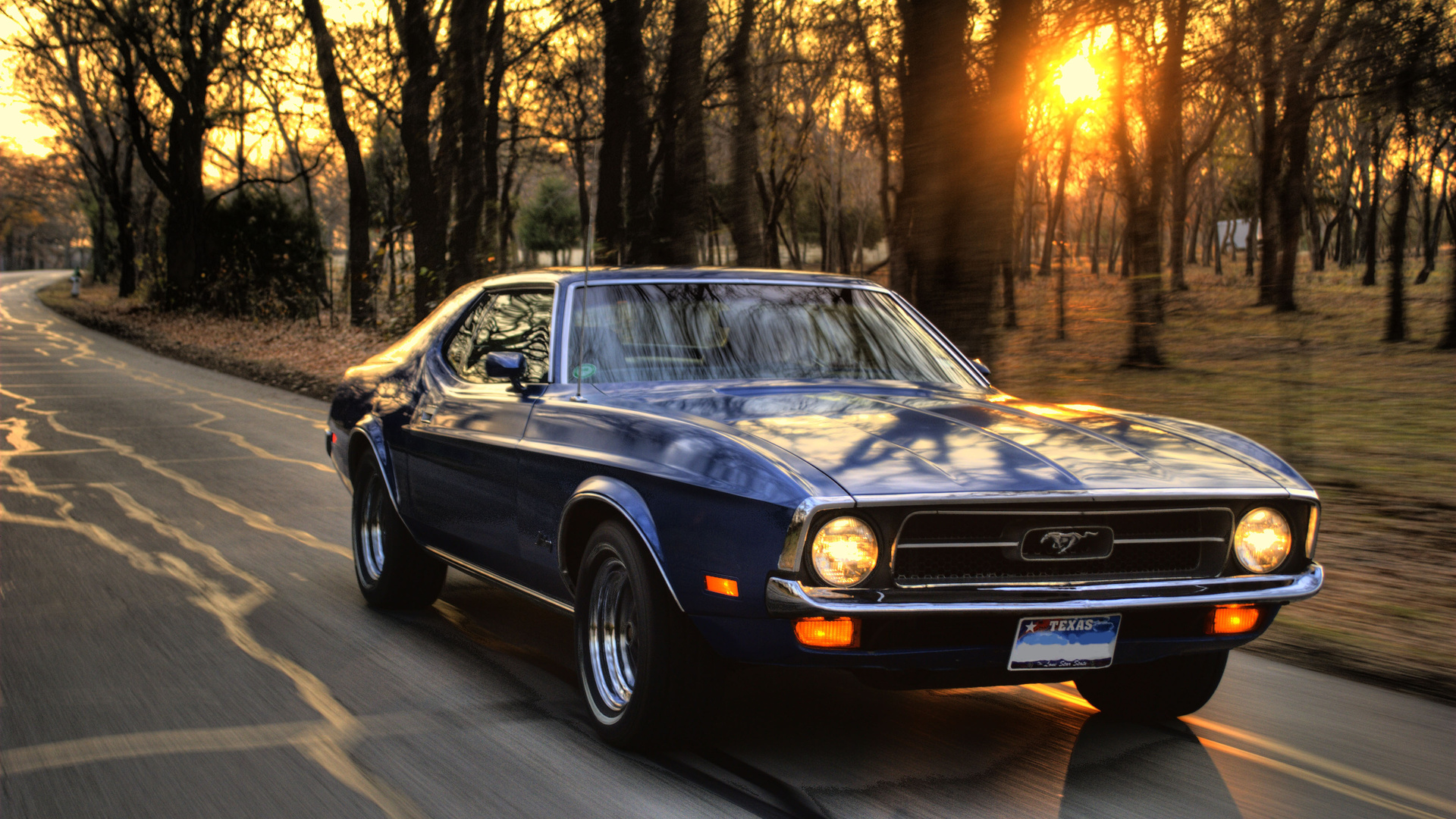 , ford mustang, , , , ,,  , ,, ,  , , , , , , , , , , 