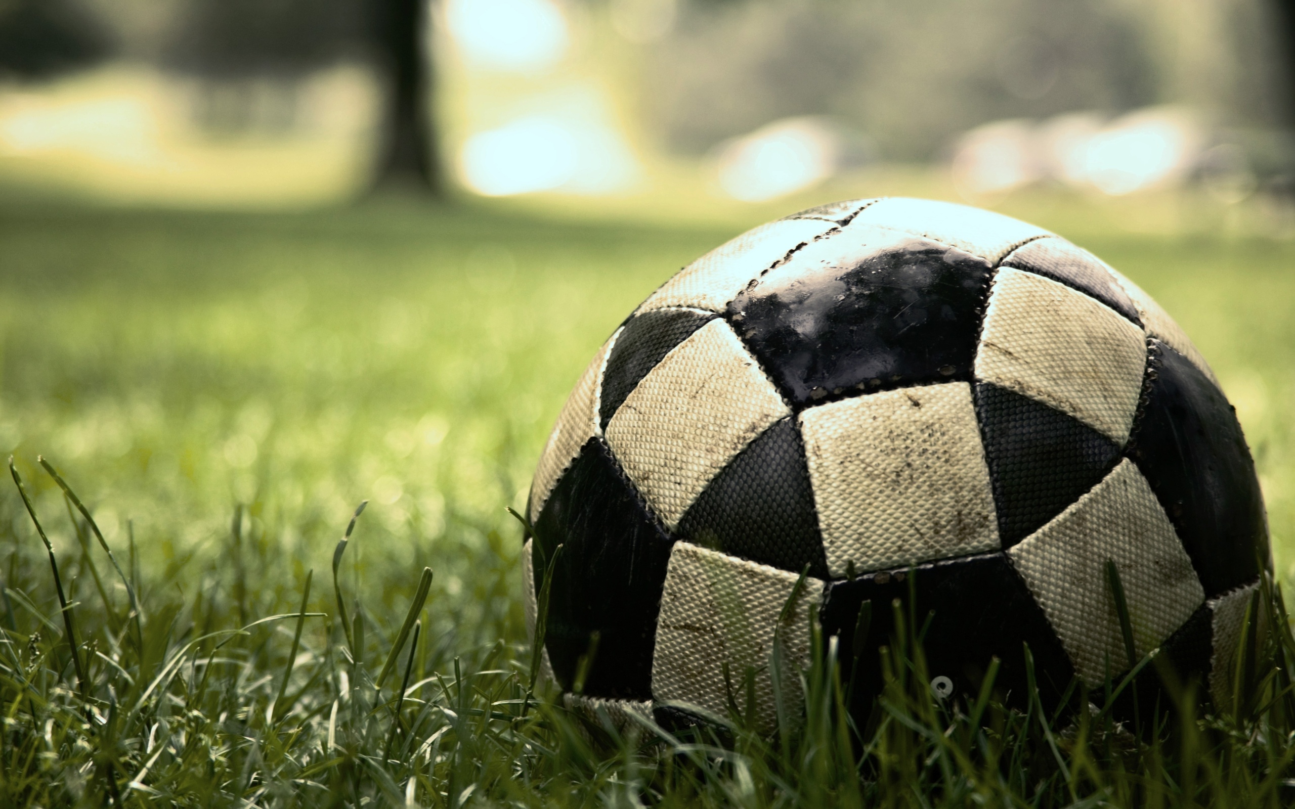 , sport, , , soccer, , game, , , , , ,  , , , 