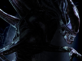 alien, xenomorph, h.r.giger, , , weyland-yutani, sulaco, lv-426, , , , , , , alien vs predator