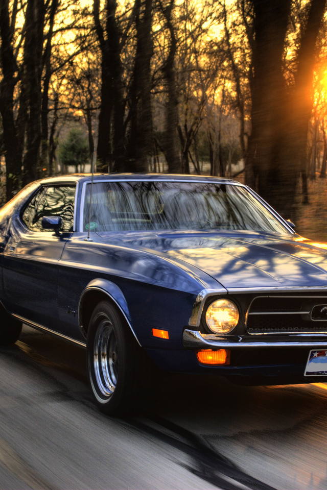 , ford mustang, , , , ,,  , ,, ,  , , , , , , , , , , 