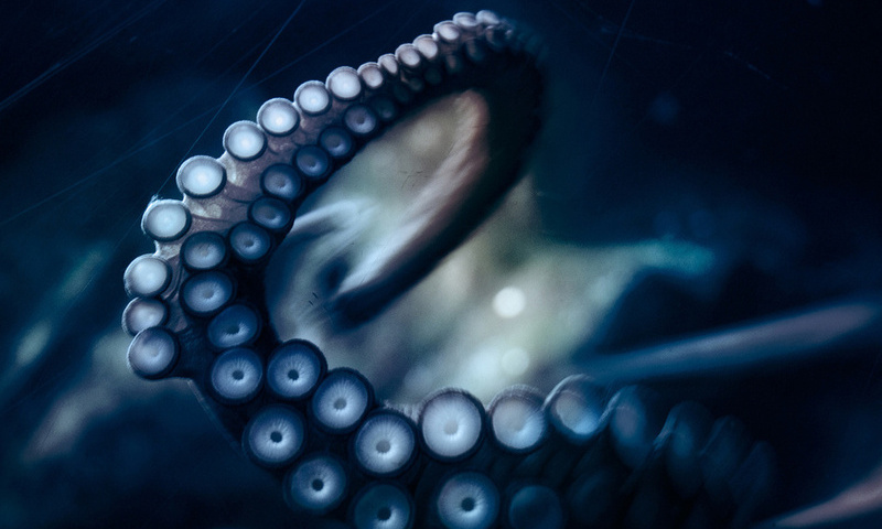 , , octopus, ,  ,  