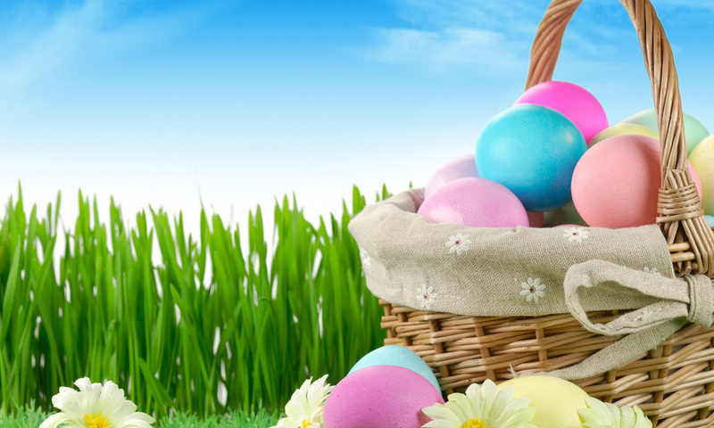 flowers, nature, grass, sky, easter, Holiday, eggs, , , , , , , 