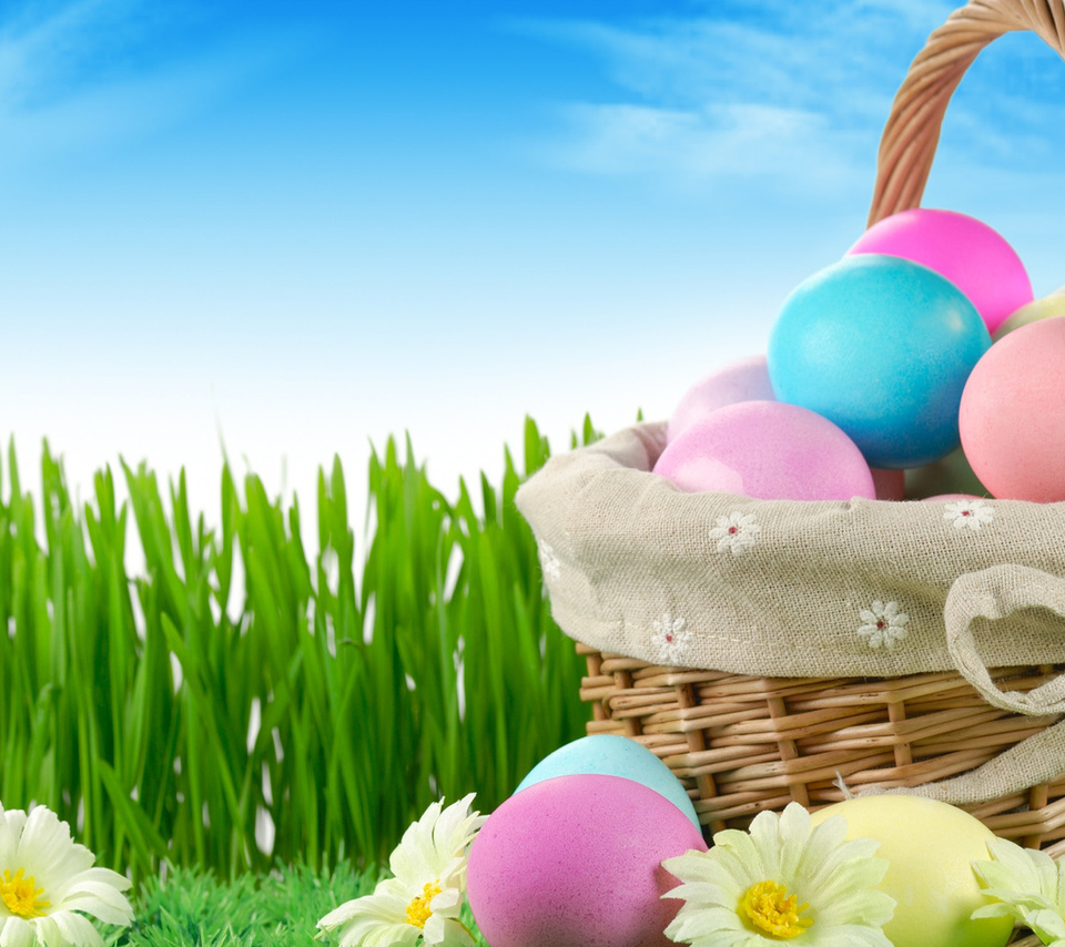 flowers, nature, grass, sky, easter, Holiday, eggs, , , , , , , 