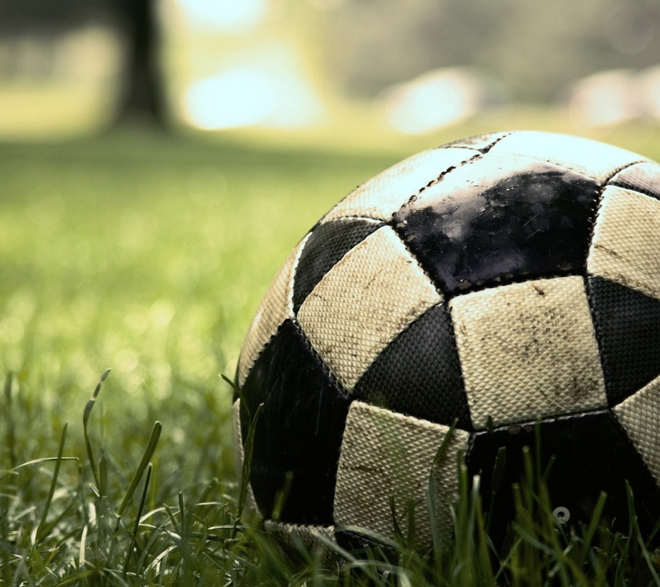 , sport, , , soccer, , game, , , , , ,  , , , 