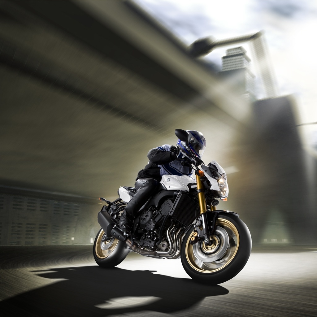 yamaha fz8, , , , , 