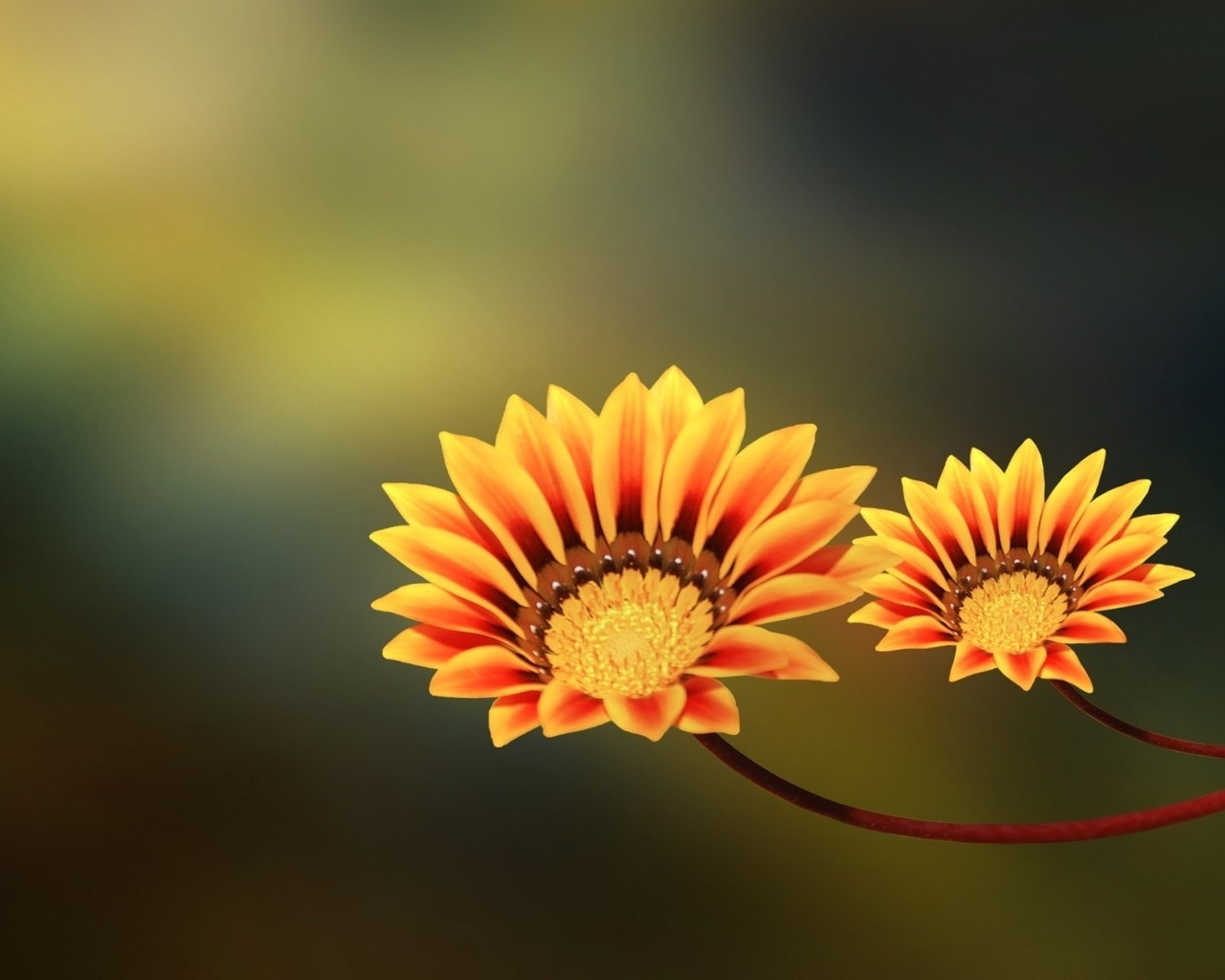 , , two flowers, yellow, orange