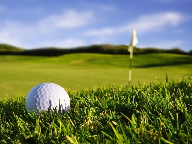 , , macro, ,   , sport wallpapers, , , , golf, , , , grass