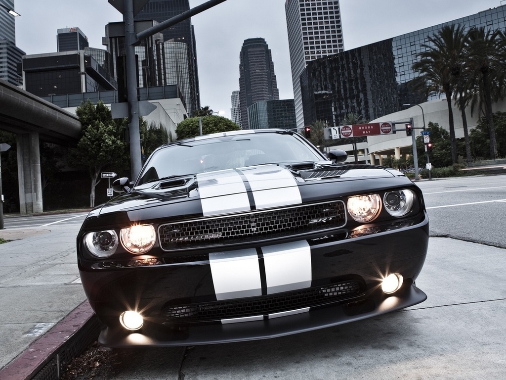 , Dodge,  , 392, muscle car, challenger, srt8, , 8