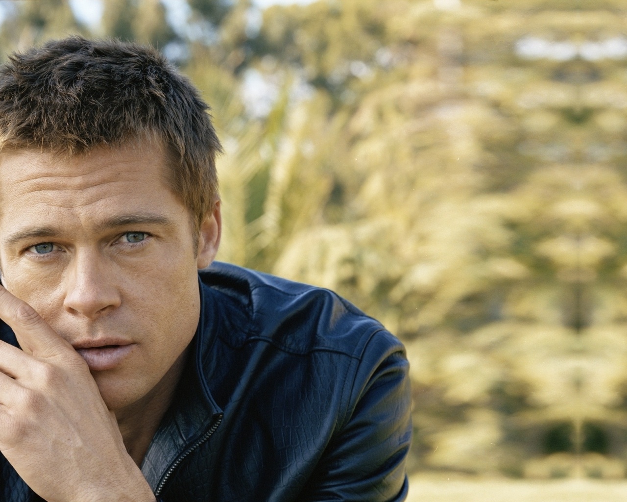  , , , brad pitt, , 