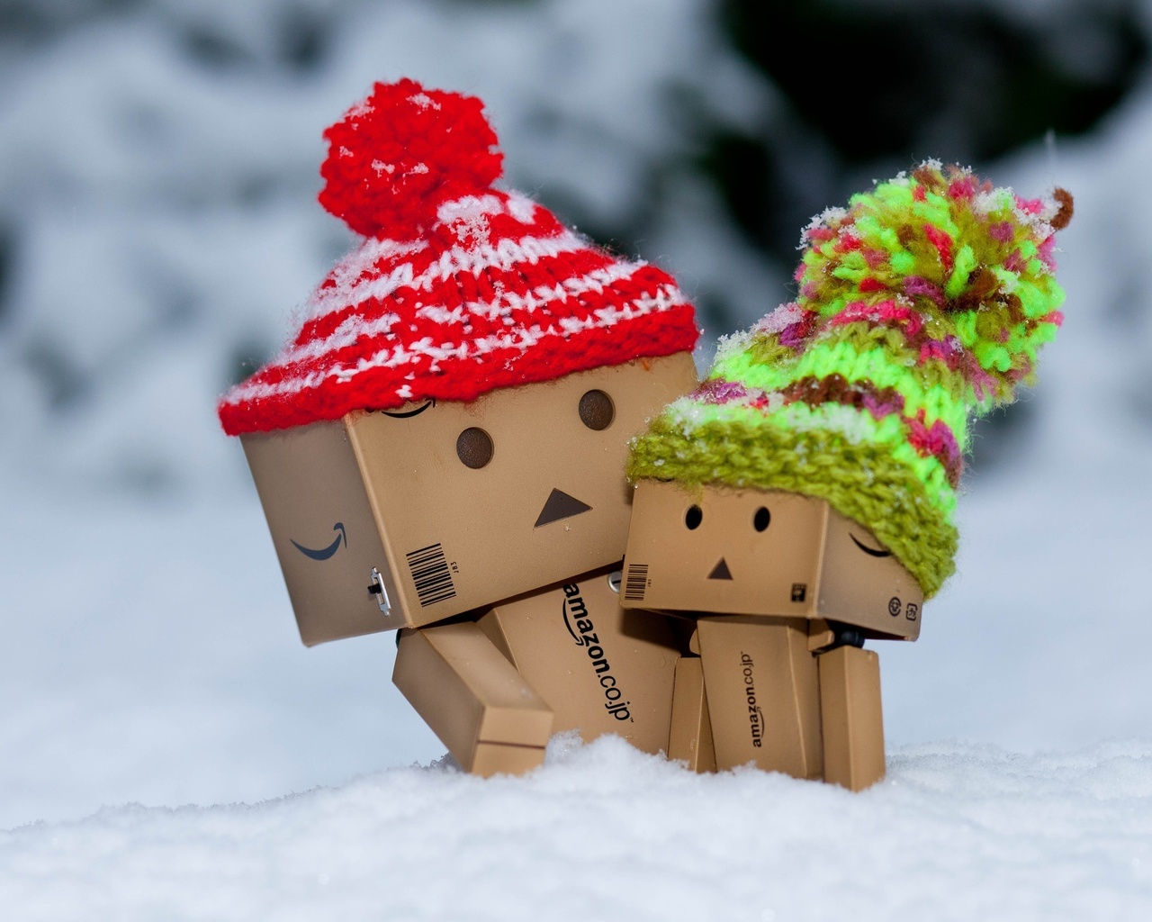 , , danbo, , , 