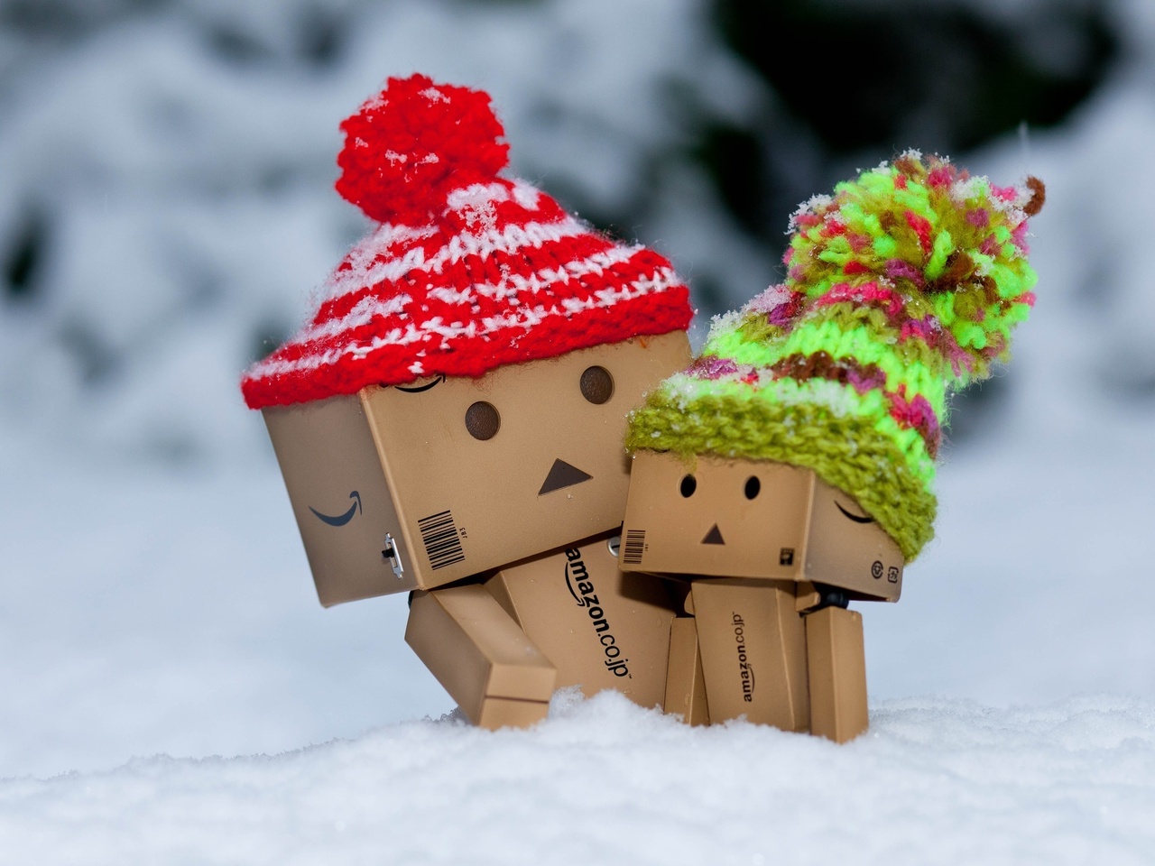 , , danbo, , , 