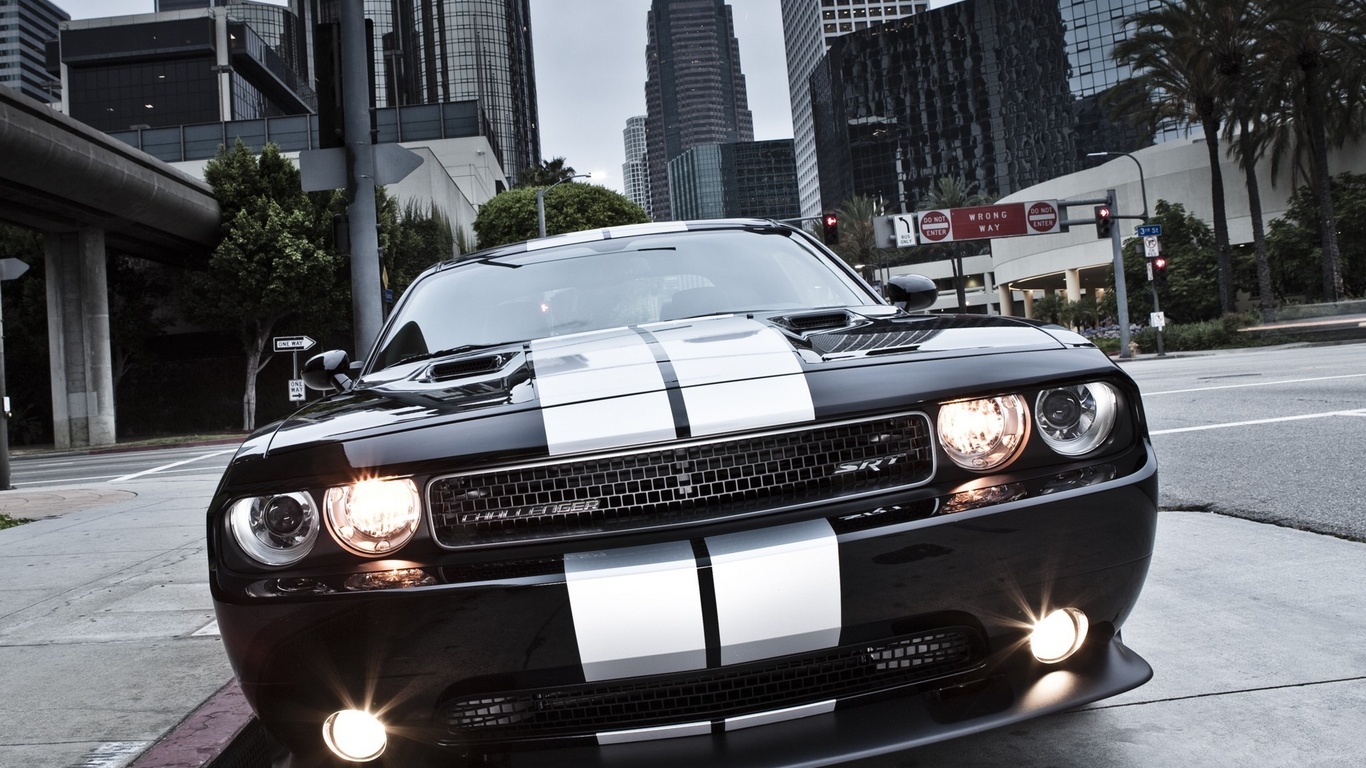 , Dodge,  , 392, muscle car, challenger, srt8, , 8