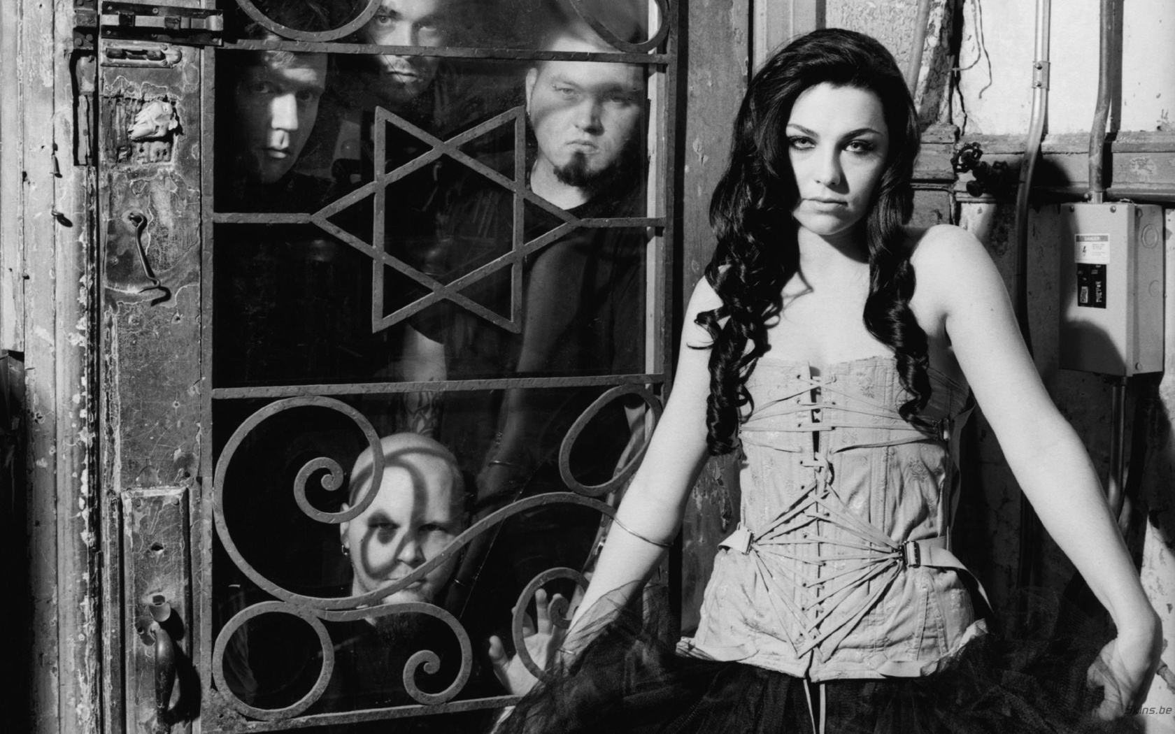 Evanescence, fallen, amy lee