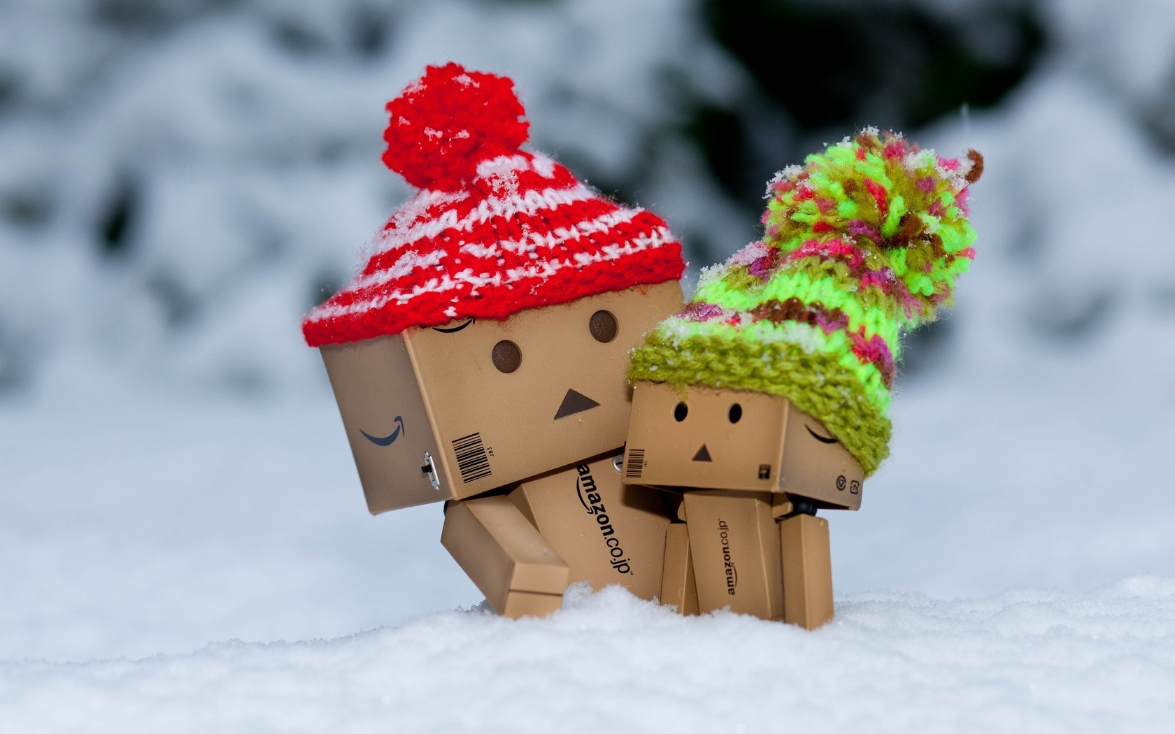 , , danbo, , , 