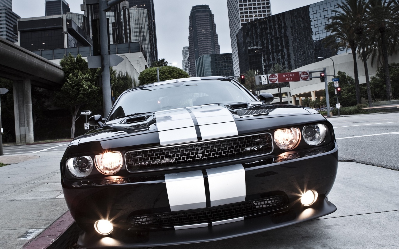 , Dodge,  , 392, muscle car, challenger, srt8, , 8