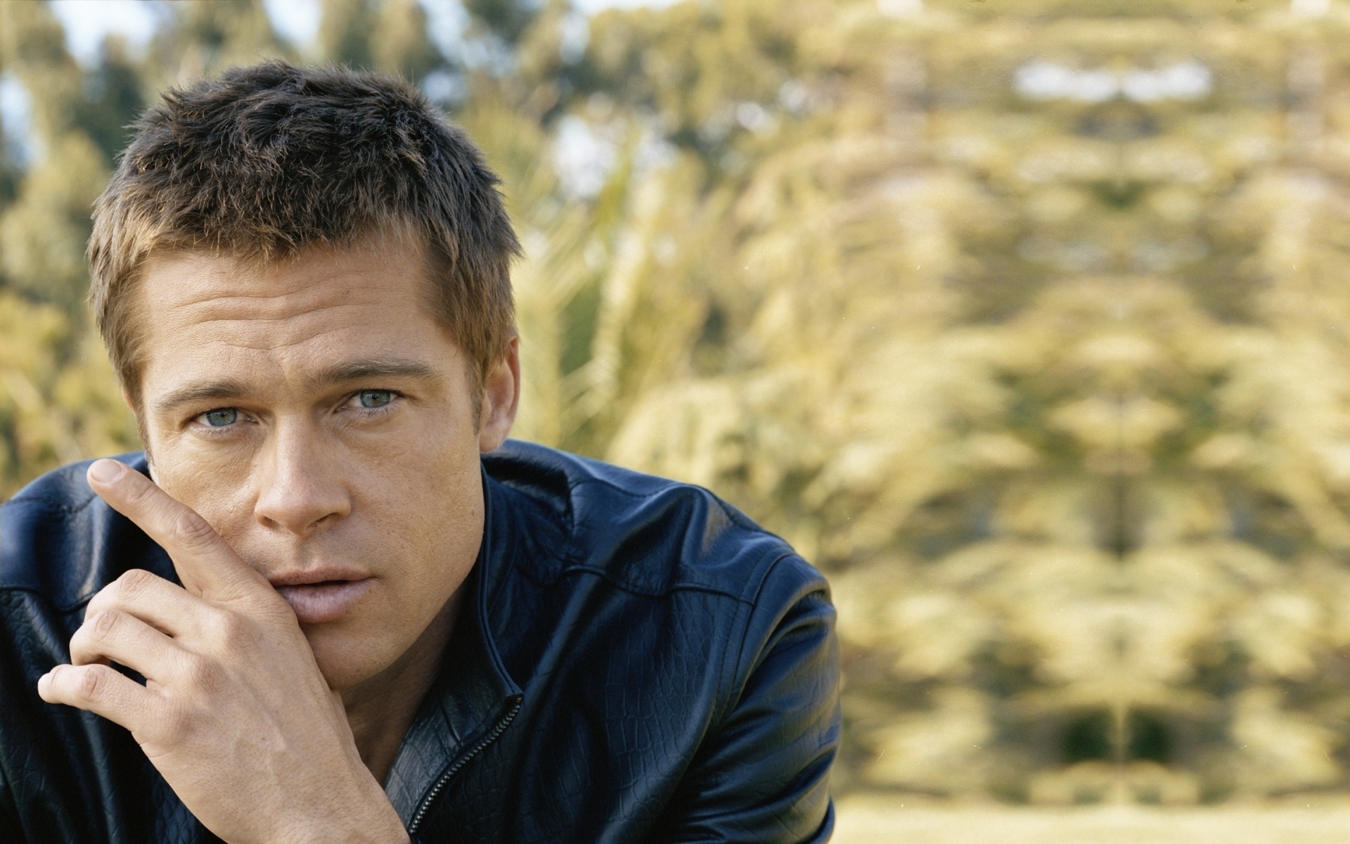  , , , brad pitt, , 