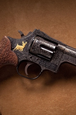 magnum revolver, wesson, d11, Dan