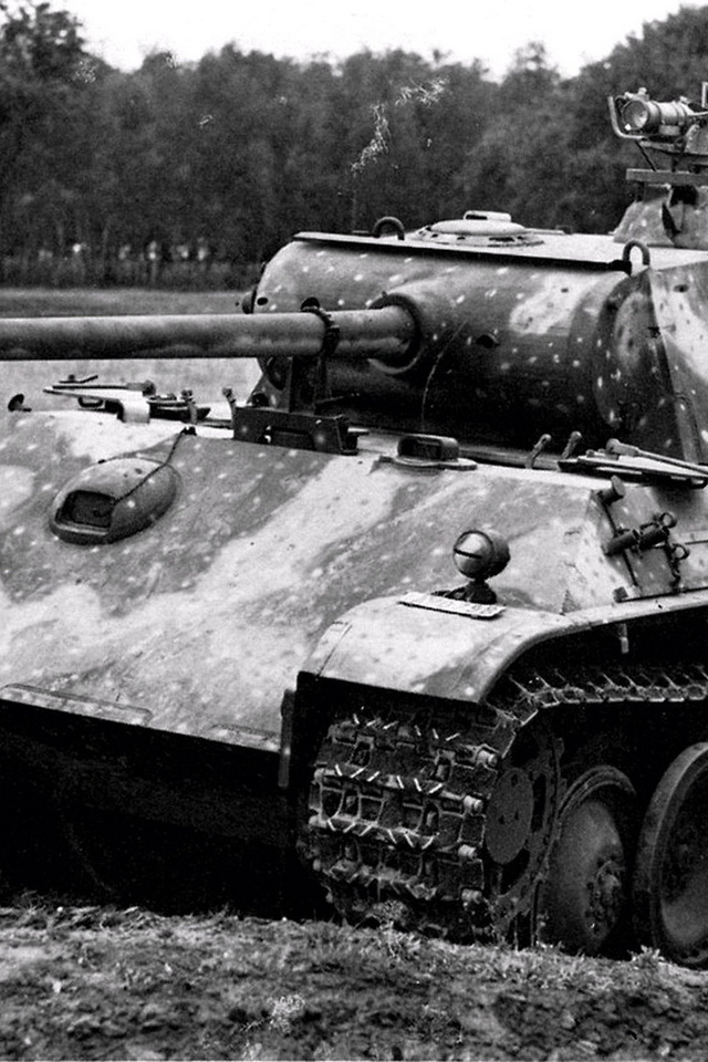 pz, Pzkpfwv, panter