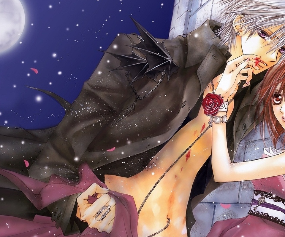 kiryu zero, yuuki cross, Vampire knight, , , -