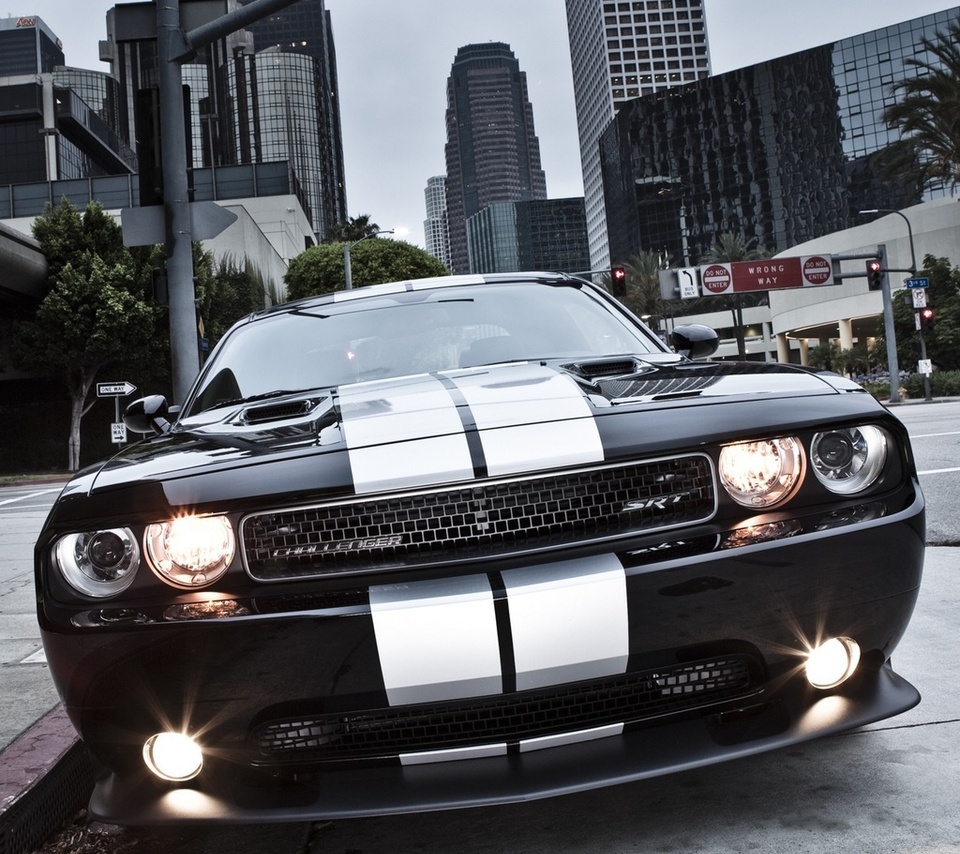 , Dodge,  , 392, muscle car, challenger, srt8, , 8