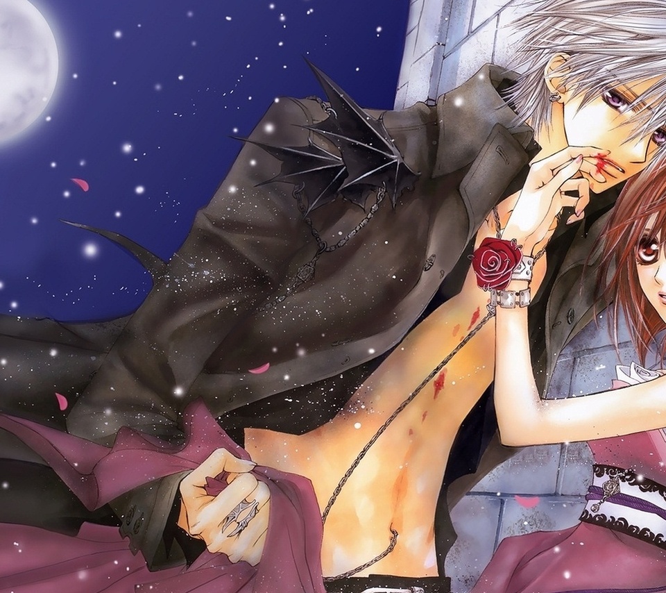 kiryu zero, yuuki cross, Vampire knight, , , -