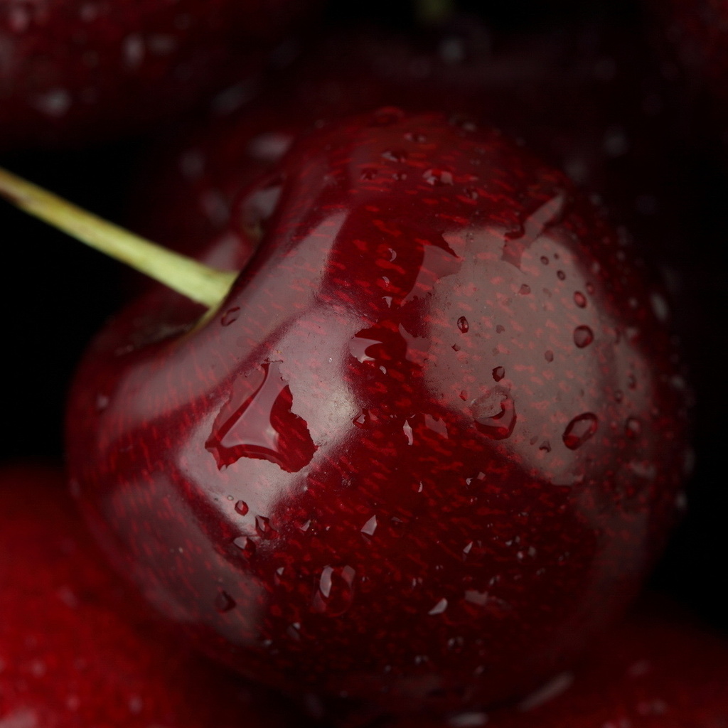 , , , fruit, , cherry, , , food, macro