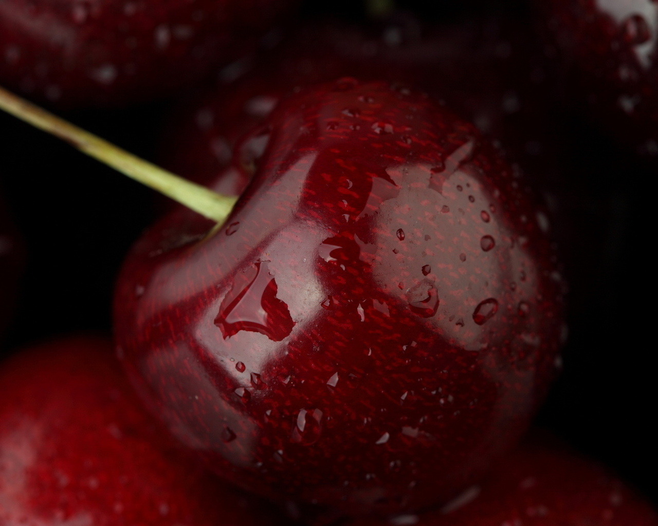 , , , fruit, , cherry, , , food, macro