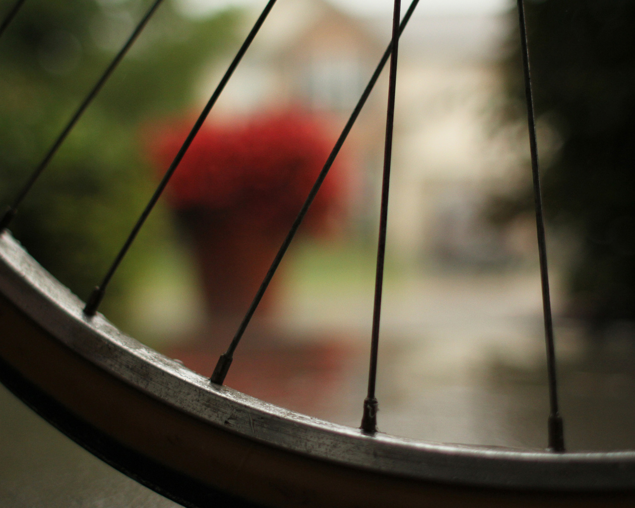 , bicycle, , macro,  , , 