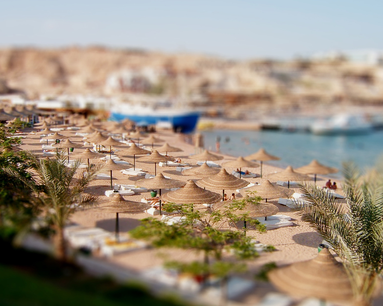 , , tilt-shift, creativing