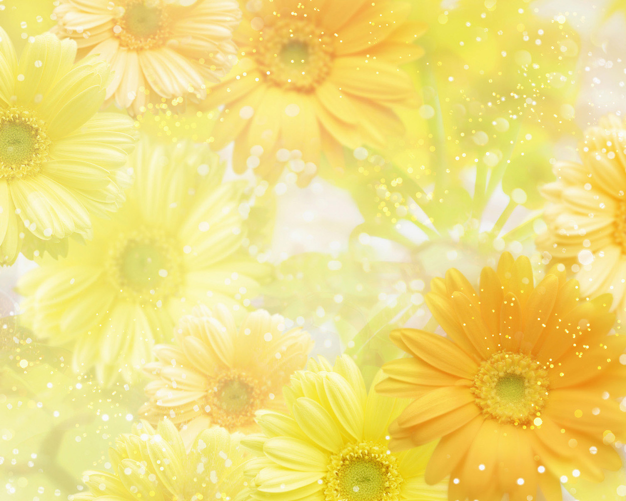 yellow, , , , flowers