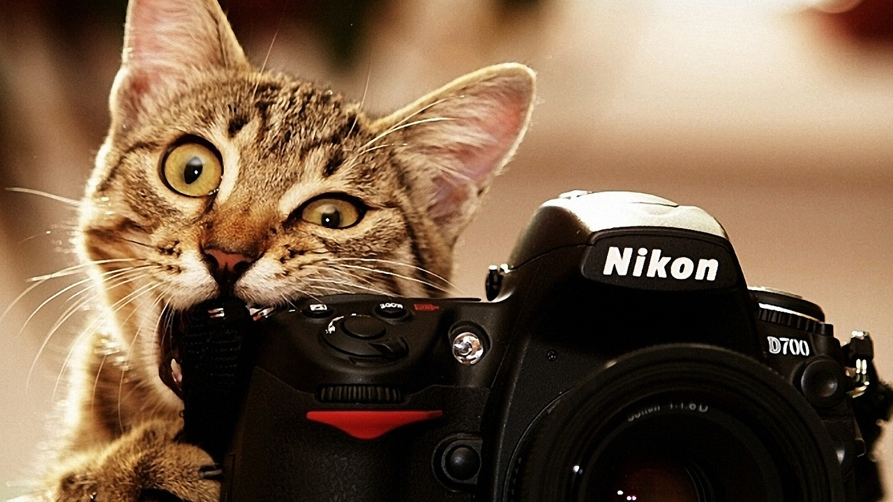 , nikon, , 