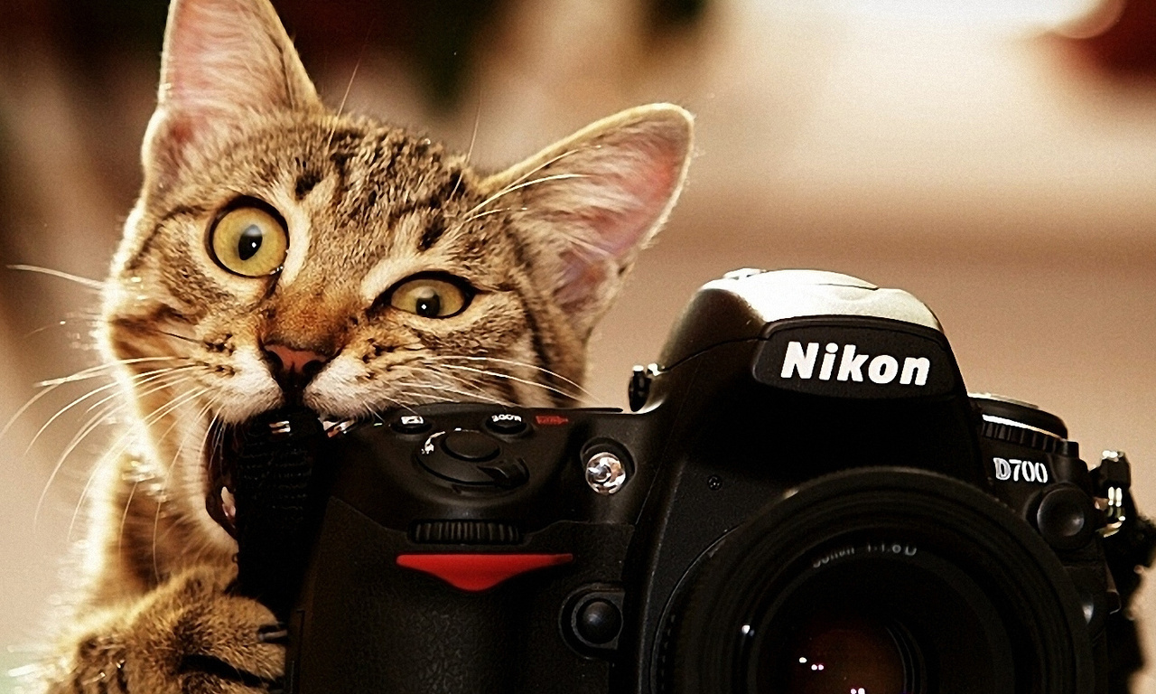 , nikon, , 