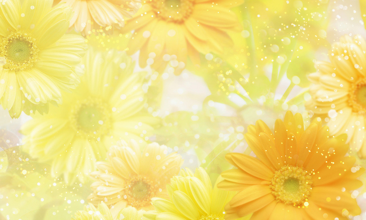 yellow, , , , flowers