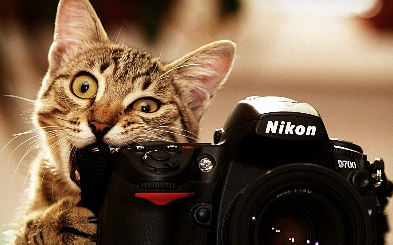 , nikon, , 