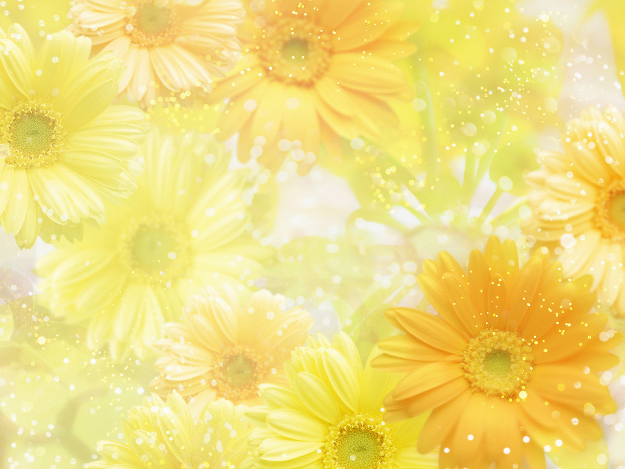 yellow, , , , flowers