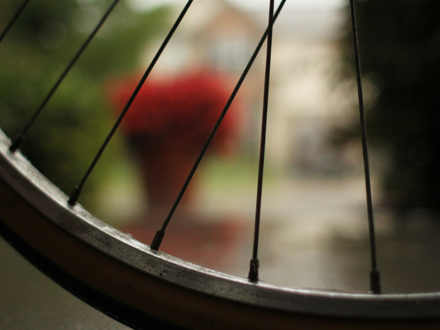 , bicycle, , macro,  , , 