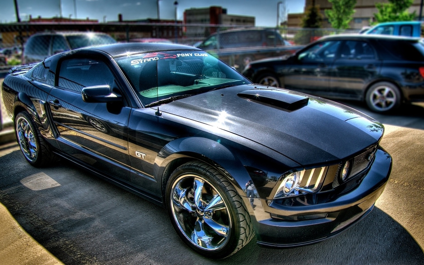 tuning, avto, mustang, Ford, , , shelby, , , gt500