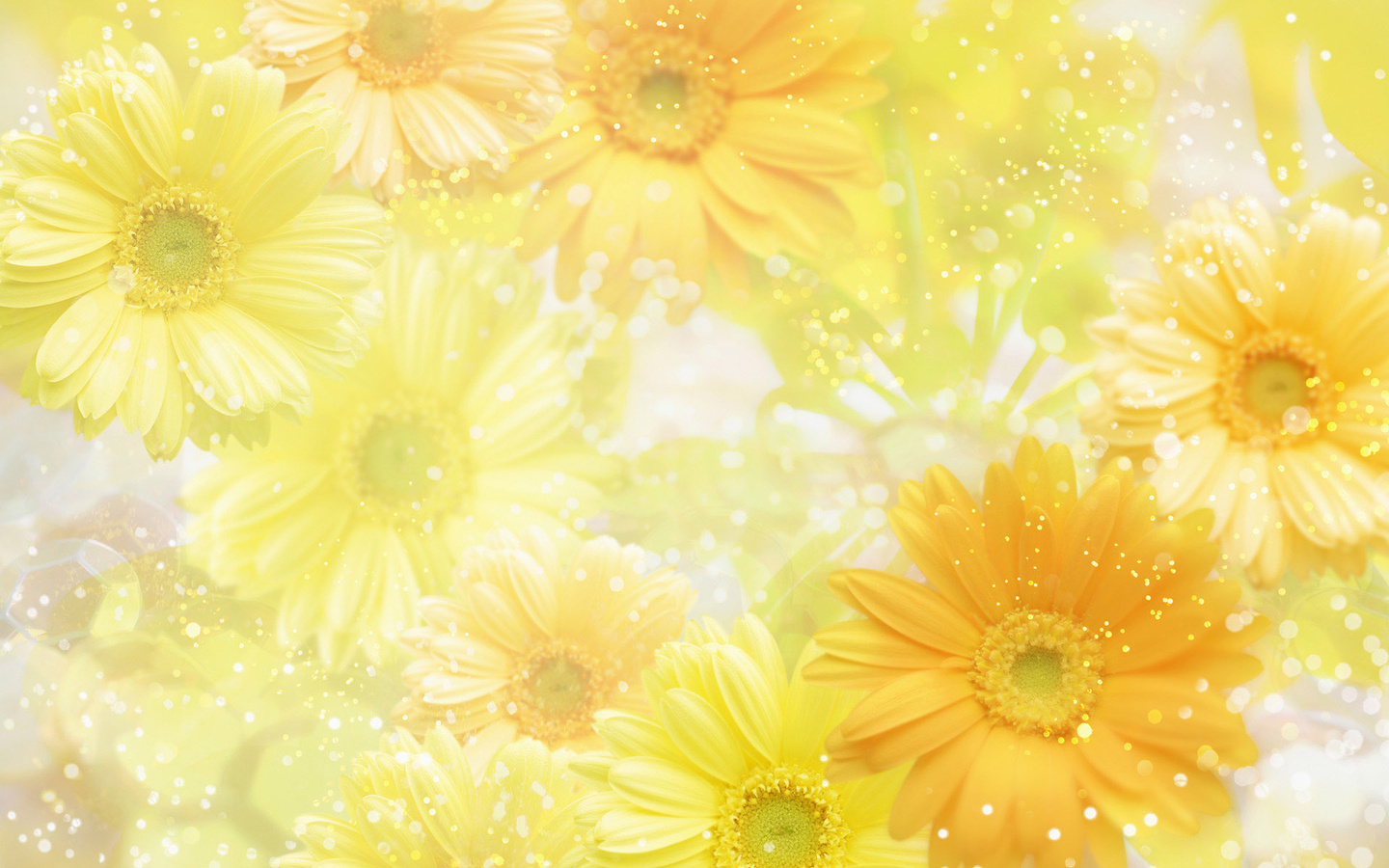 yellow, , , , flowers