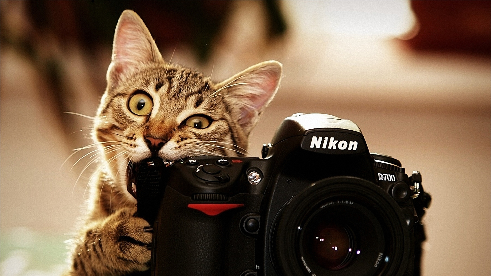 , nikon, , 