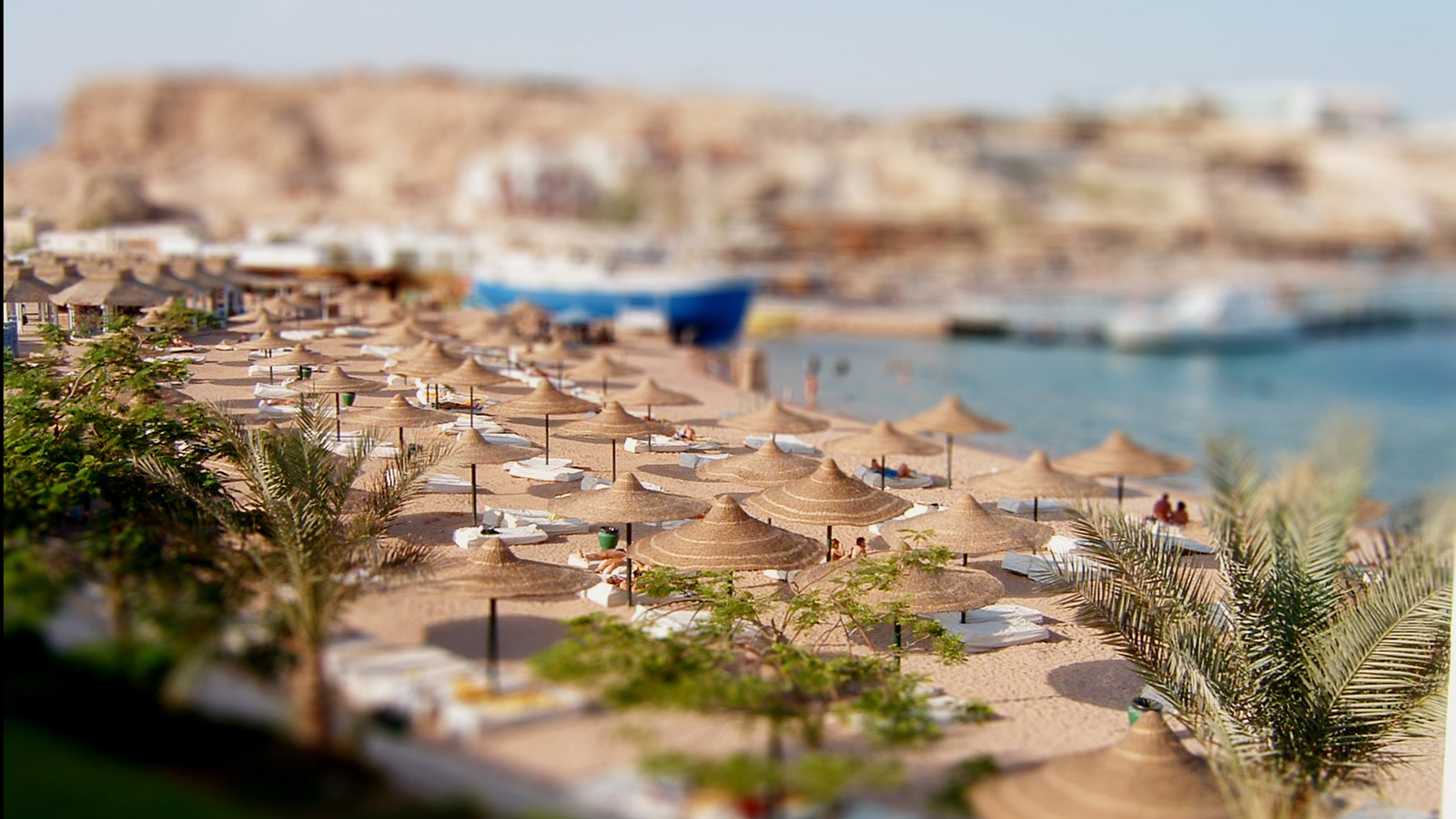 , , tilt-shift, creativing