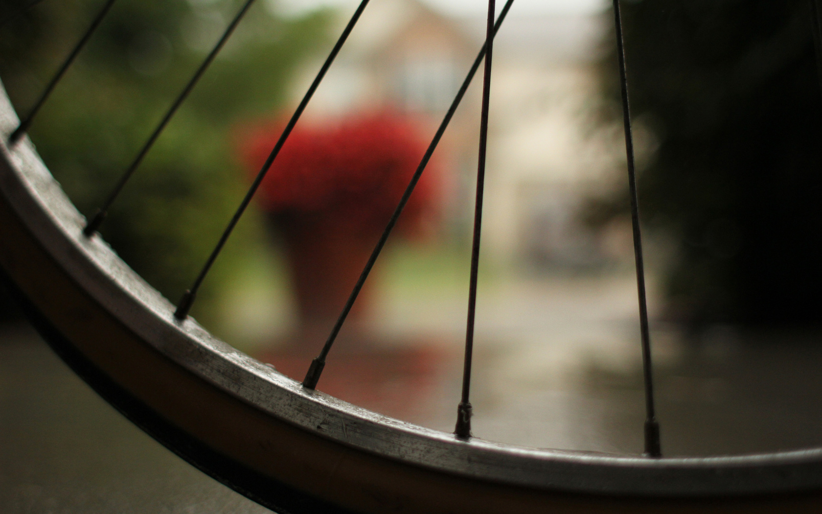 , bicycle, , macro,  , , 