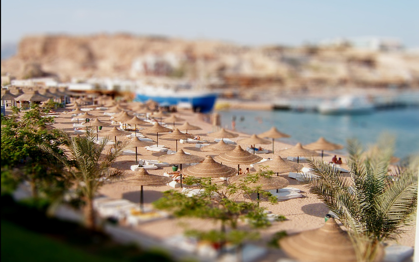 , , tilt-shift, creativing